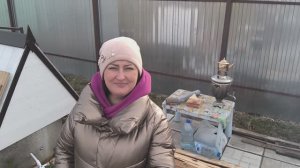 Пикник на даче. 12 апреля 2026 года