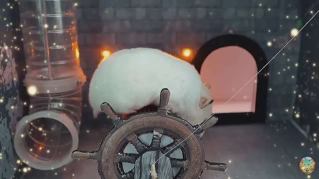 Хомячок сбегает из опасного огненного лабиринта! часть 10