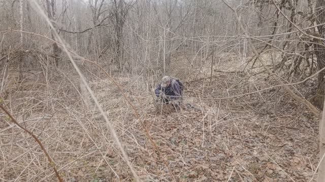 Приключения в Смоленских лесах