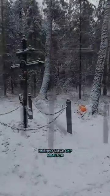 Этот фрагмент зимнего видео от гостей Мемориала Романовых. А Вы, лично Вы согласны?