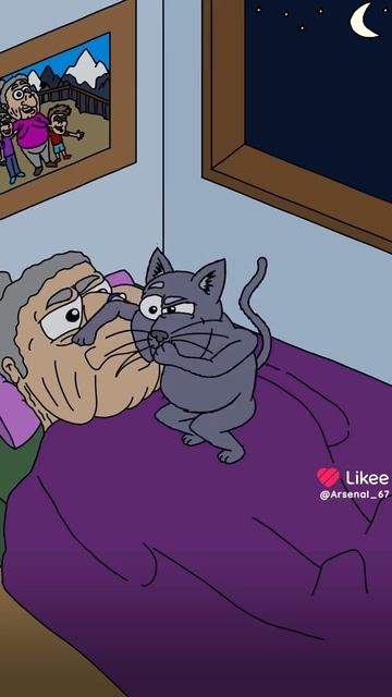 Я и моя жизнь с кошкой