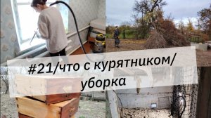 #21/  Разбираем курятник, готовим выгул, уборку наводим.