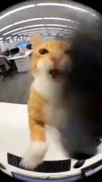 Разговариваю с бывшим