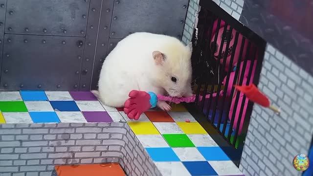 Хомячок сбегает из опасного огненного лабиринта! часть 7