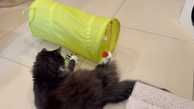 Видеофильм по результатам акции «Доброта спасет мир»