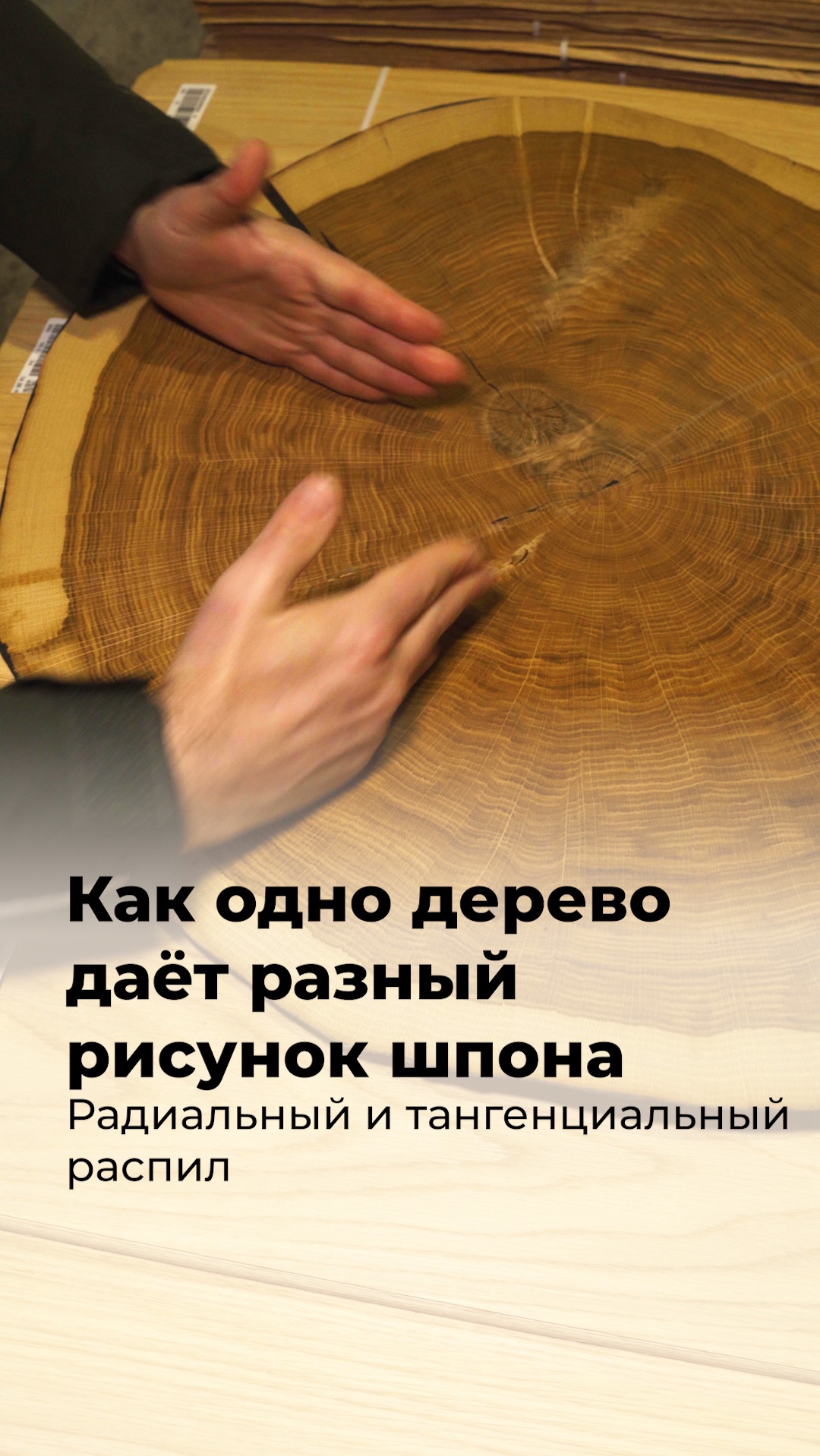 Как одно дерево даёт разный рисунок шпона. Радиальный и тангенциальный распил