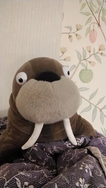 Морж заговорил!