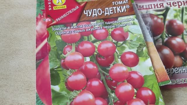 Дела на участке и посев помидор в середине апреля.