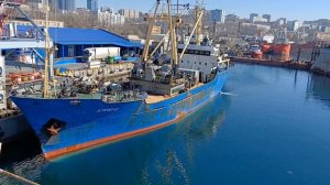 ПЕРЕГРУЗЧИК Атропус ,Владивосток