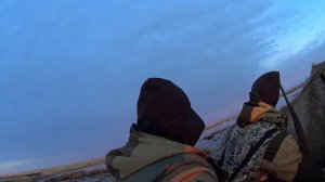 Охота в Новосибирской области