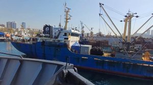 ПАРОХОД "АТРОПУС " ПРИШЕЛ С РЕЙСА
ВО ВЛАДИВОСТОК