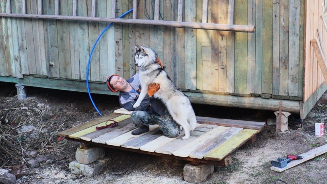 Строю Вторую Квартиру для Майки!