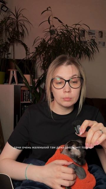 Подписывайтесь на канал, если нравятся подобные истории