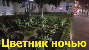 20260415 Цветник в темноте Палисадник Тамары Михайловн ночь Цвет растени клумб ул Октябрьская г Орёл
