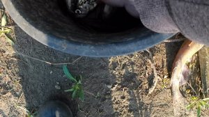 Рыбалка на Кубани под вечер мой улов в день рожденья