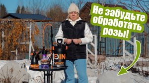 Когда и чем ОБРАБОТАТЬ РОЗЫ весной