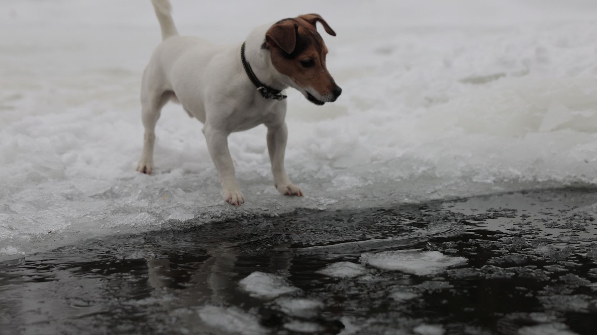 Беспечность может стоить жизни