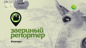 Уход на профилактику канала Живая планета 15.04.2026