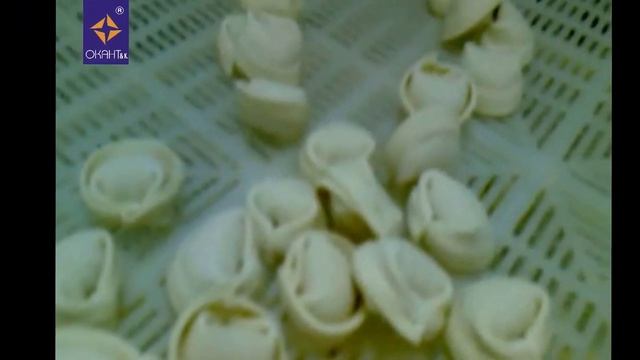 Пельменный аппарат LB 250