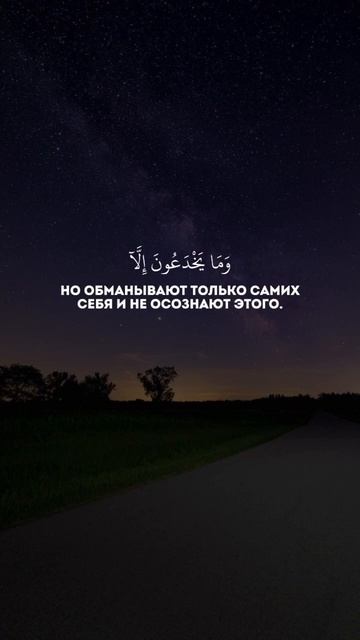 Махди аш-Шишани. Сура 2 Аль-Бакара (8-10)