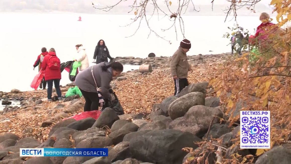 День экологических знаний проводится в Вологодской области