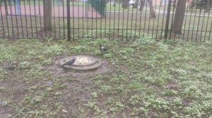 15 апреля магический пасмурный местами дожди 🌦️ до вечера