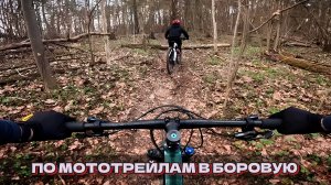 По мототрейлам в Боровую (Смоленск) /13.04.2026/