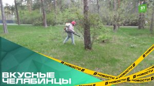 Вкусные челябинцы. Южный Урал вошел в десятку самых пострадавших от клещей регионов