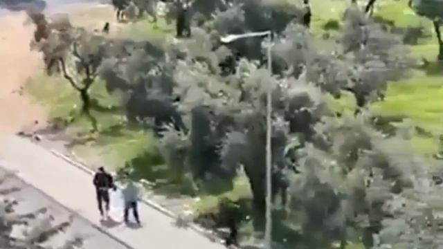 Четыре человека погибли в результате стрельбы в турецкой школе, ещё 20 ранены, пишут местные СМИ.