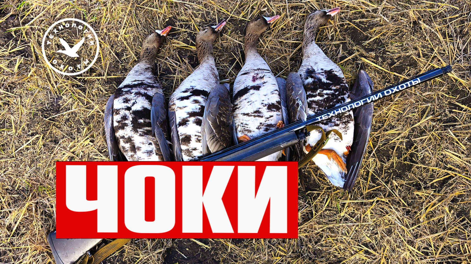 ЧОКИ. Дульные сужения гладкоствольных ружей.