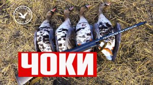 ЧОКИ. Дульные сужения гладкоствольных ружей.