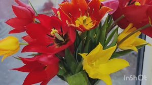 третий раз загружаю🙆♀️// килька//пришлось подключать обогреватель🥶