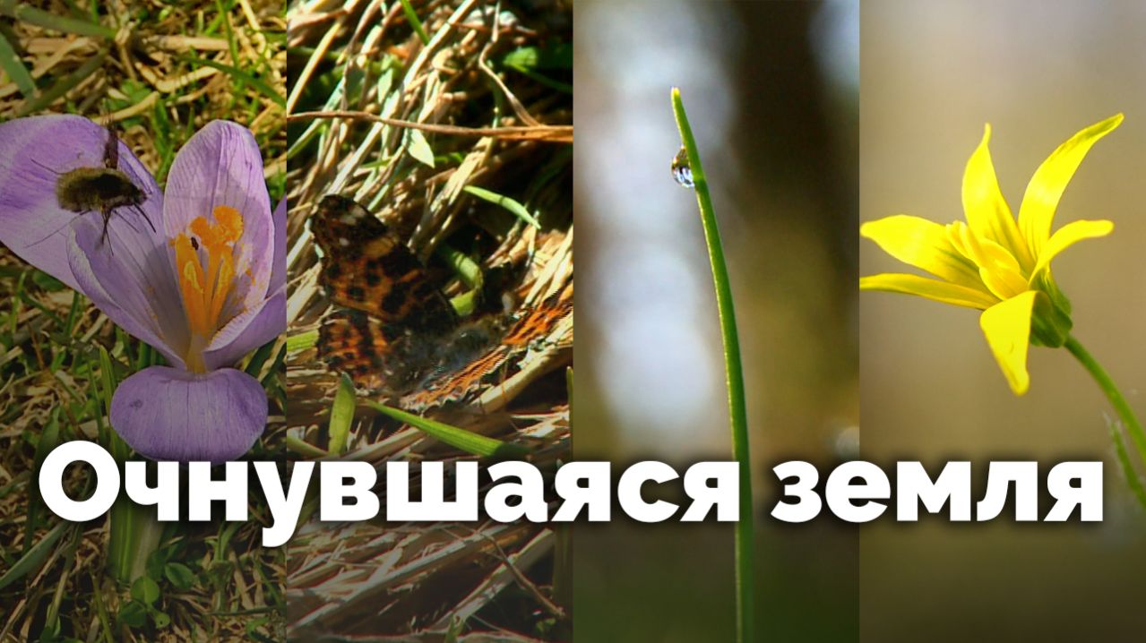 Очнувшаяся земля | С любовью к русской природе