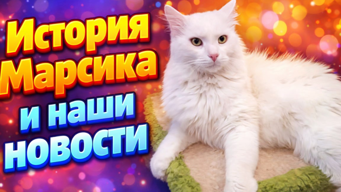 История Марсика и Наши новости.