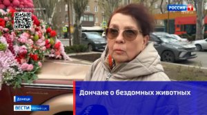 Дончане о бездомных животных
