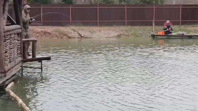 Ежедневное зарыбление.