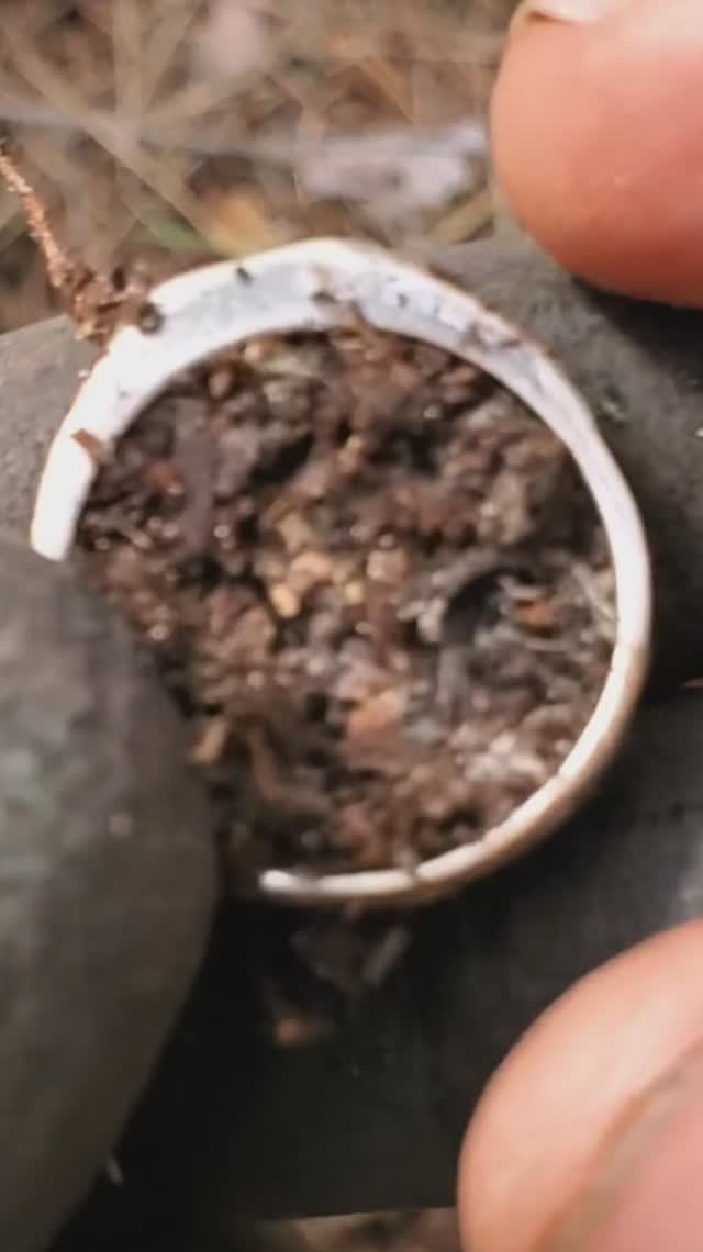 Ювелирка подъехала. Печатка.