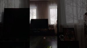 цыплёнок 🐣 пи и бруски