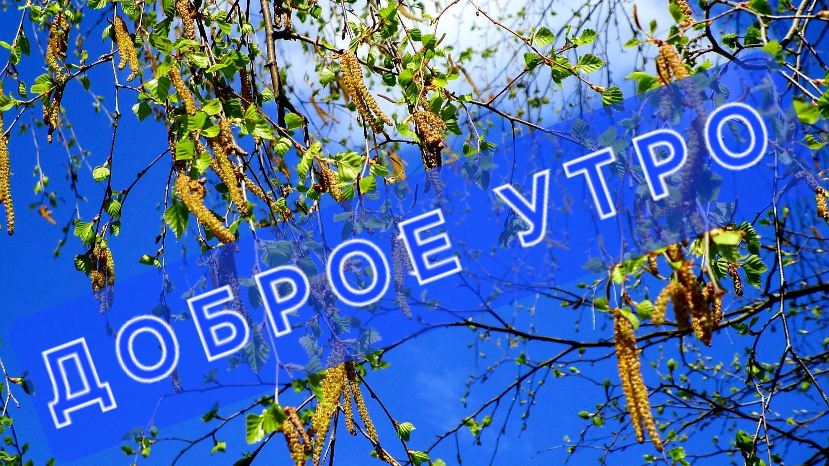 ЗАБЕЖАЛА ПОЖЕЛАТЬ ДОБРОГО УТРА 