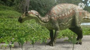 Why a did that Animal an Eating?