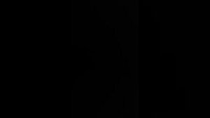 МОЮ ДУШУ ЗАБРАЛИ В МИР ДУХОВ...ИНГА ХОСРОЕВА.