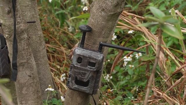 🏞«Природный мост»: как восстанавливали экологию Шэньчжэня