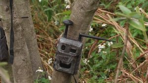 🏞«Природный мост»: как восстанавливали экологию Шэньчжэня