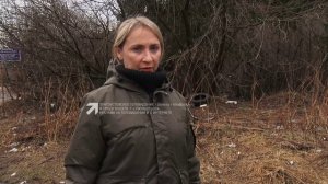 Златоустовцев приглашают на «лесной субботник»