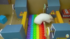 Хомячок сбегает из опасного огненного лабиринта! часть 6