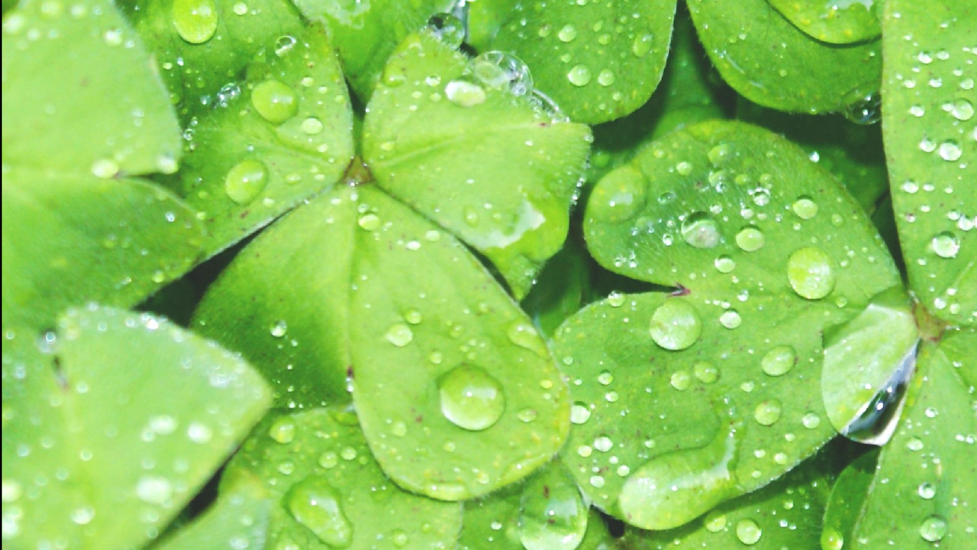 Новое интро😍😃😘🥳