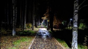 Н. Рубцов. По мокрым скверам...