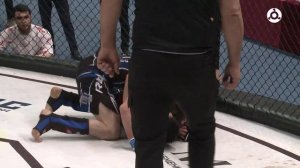 Спортивная Ингушетия. Турнир по ММА