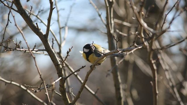 Мостовая под землёй или как задобрить духов