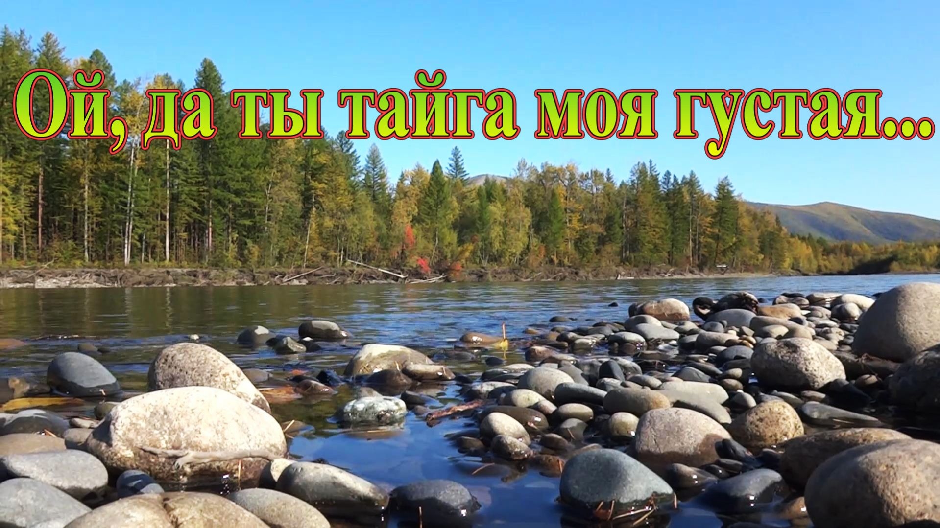 Ой, да ты тайга моя густая... Песня. Бодайбинка